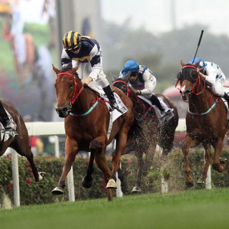 Os melhores hipódromos do Brasil