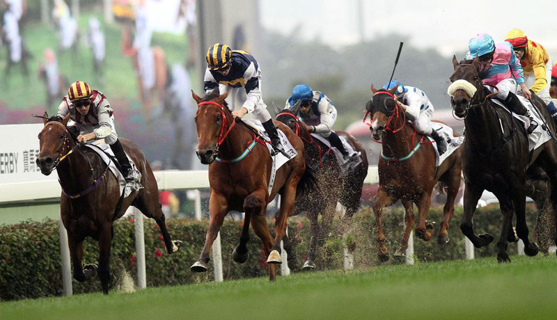 Os melhores hipódromos do Brasil