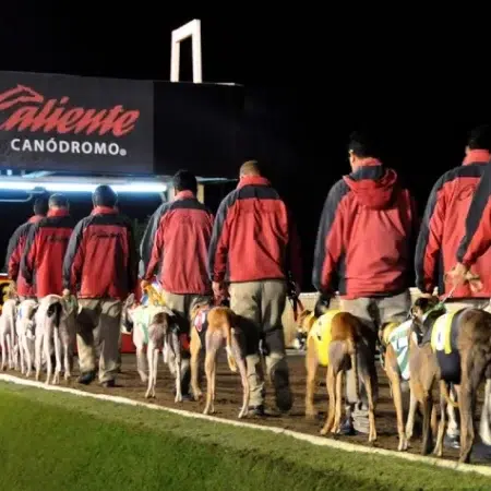 El canódromo, la joya desconocida de Tijuana