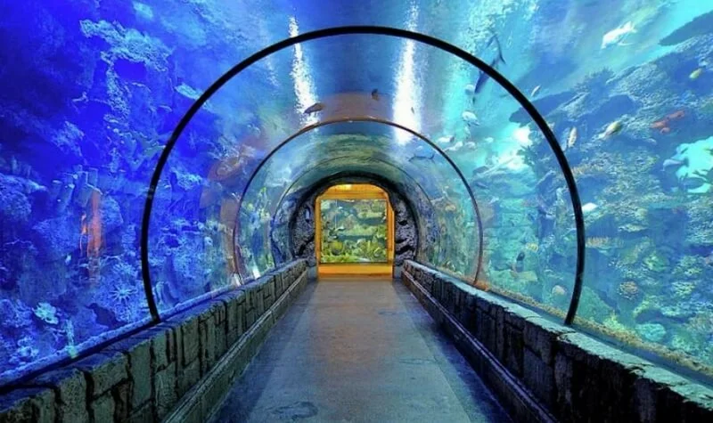 10 planes alternativos para disfrutar en Las Vegas